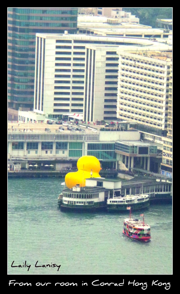 Giant Duck 1