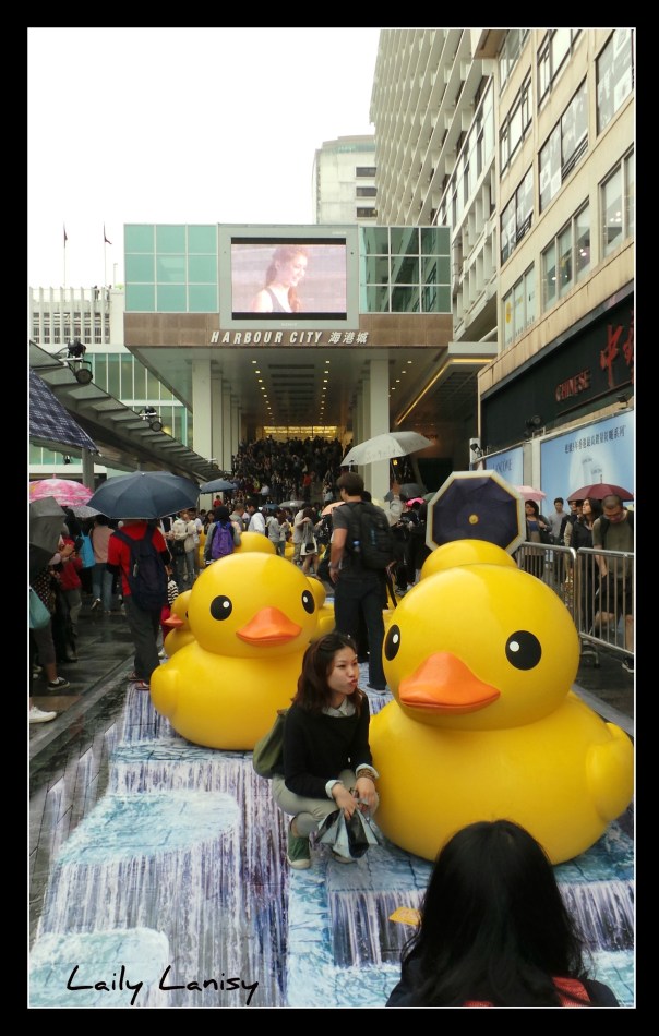 Giant Duck 6