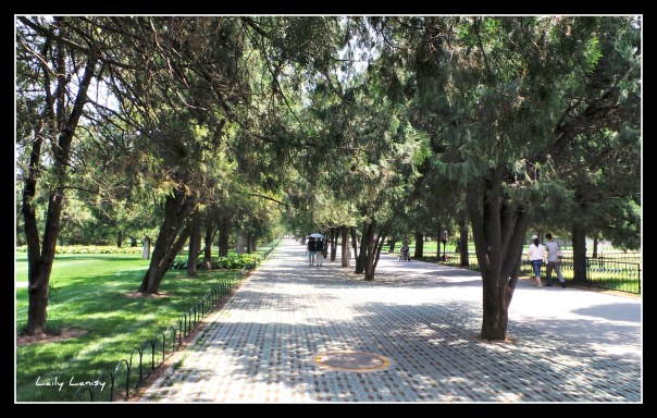 Temple of Heaven 20