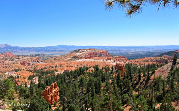 Bryce Canyon 1