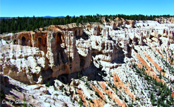 Bryce Canyon 5