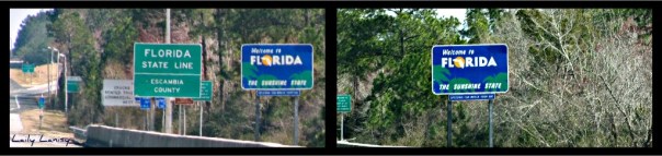 Welcome to Florida 3